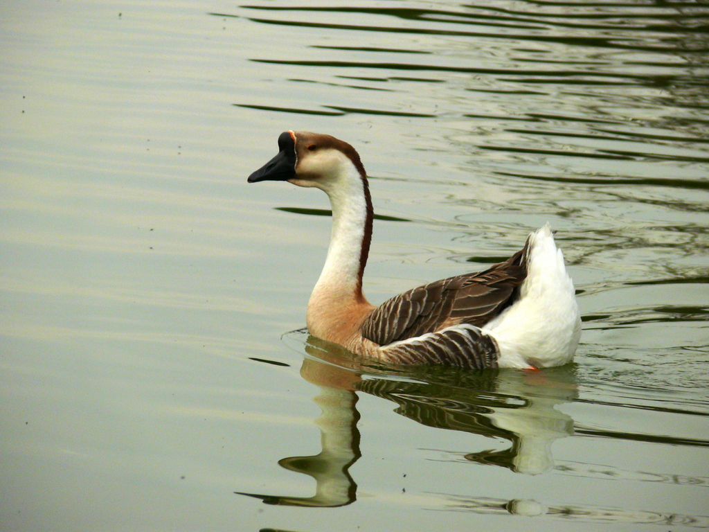 zmir Doal Yaam Park