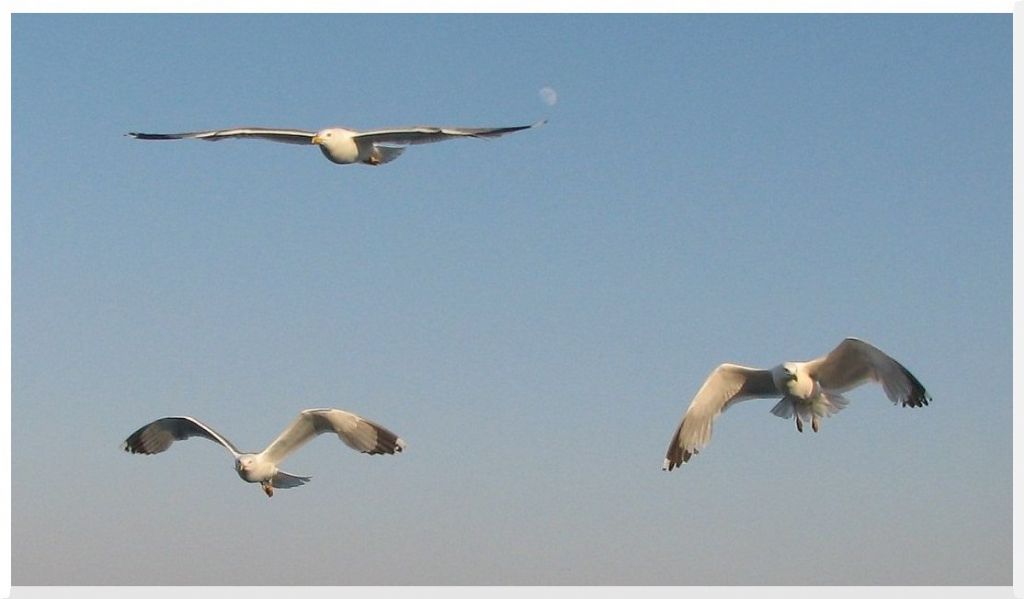 farkl u teknikleri zel ders :)