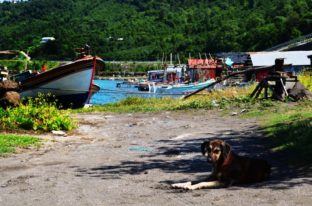 karadeniz