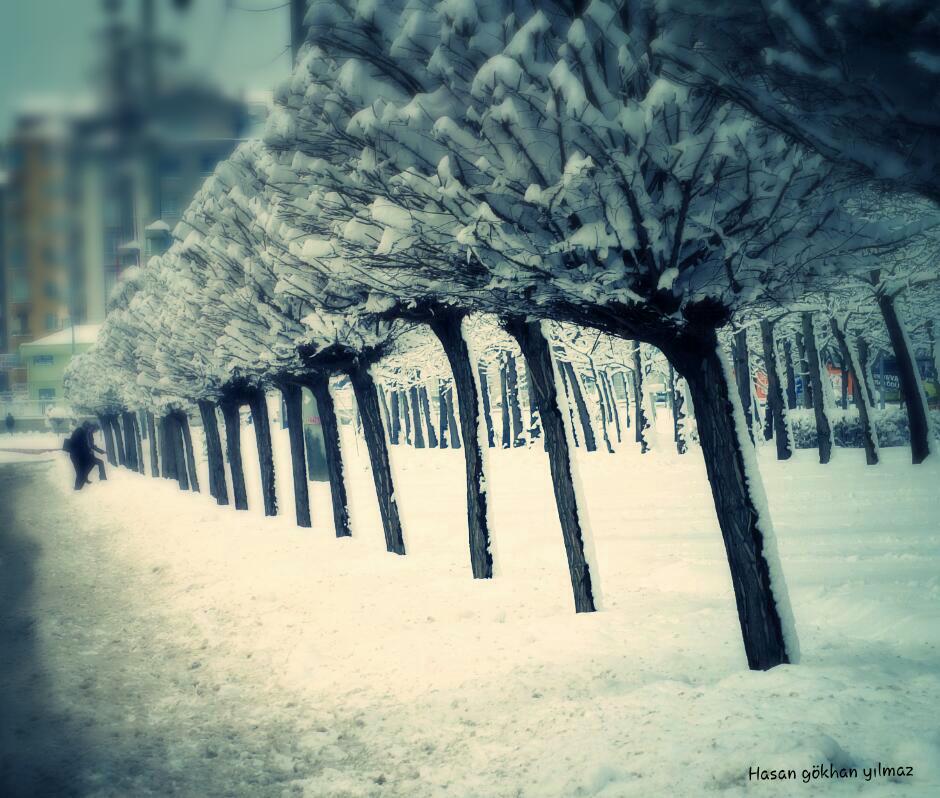 perspektiften simetriye