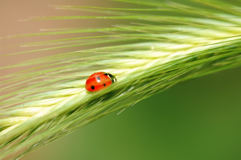 U�ur getirsin herkese.