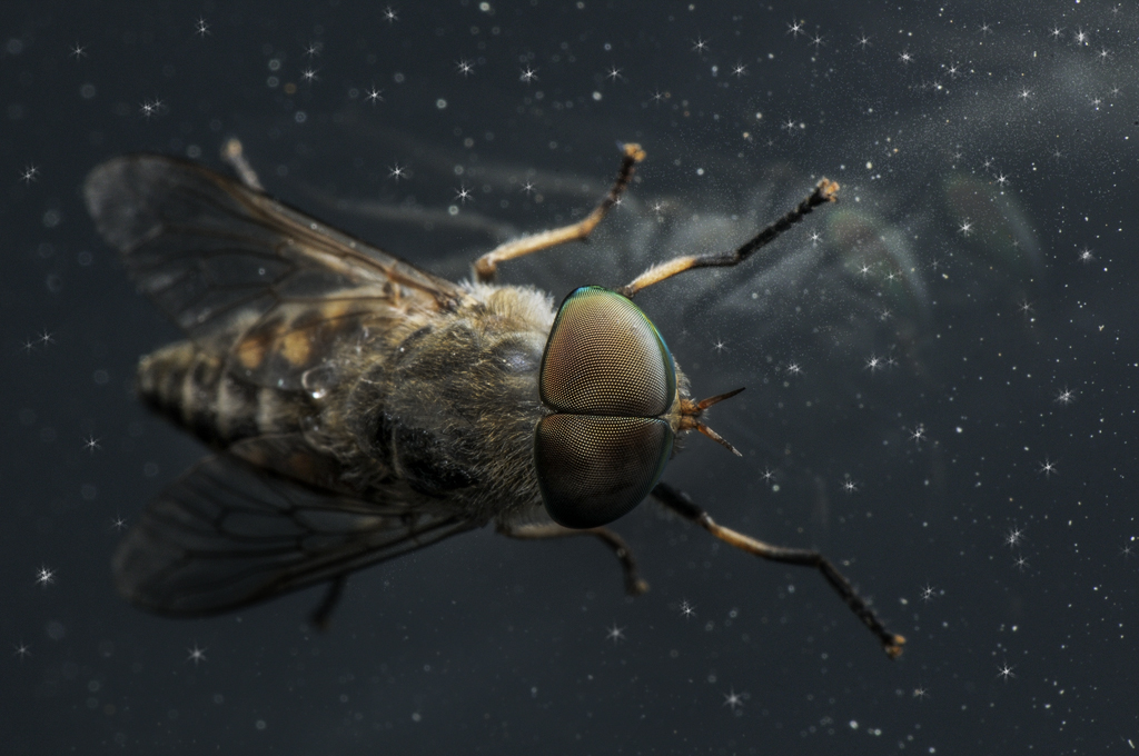 ... bakalm dnyadaki neslimize...