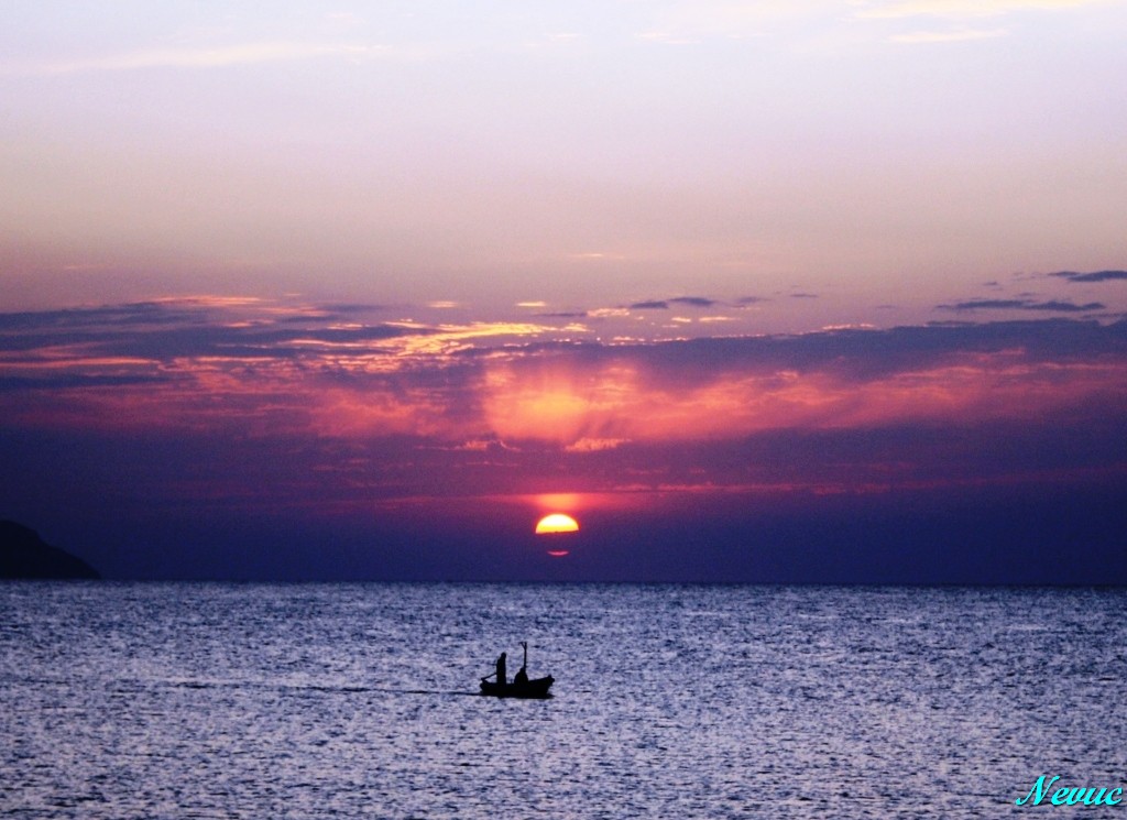 sahil bal�k��..