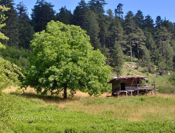 bolu mengen