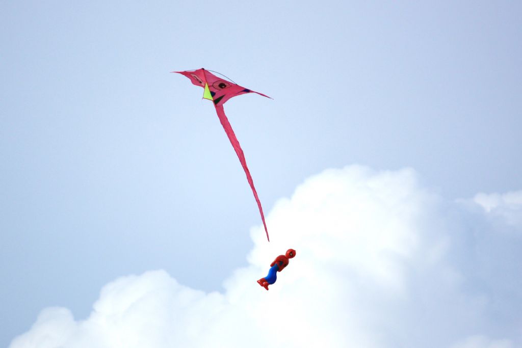 t�rk mal� �r�mcek adam :D