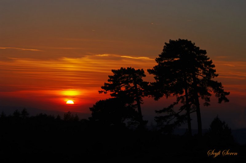 G�ne�i Y�re B�rakt�m . . .