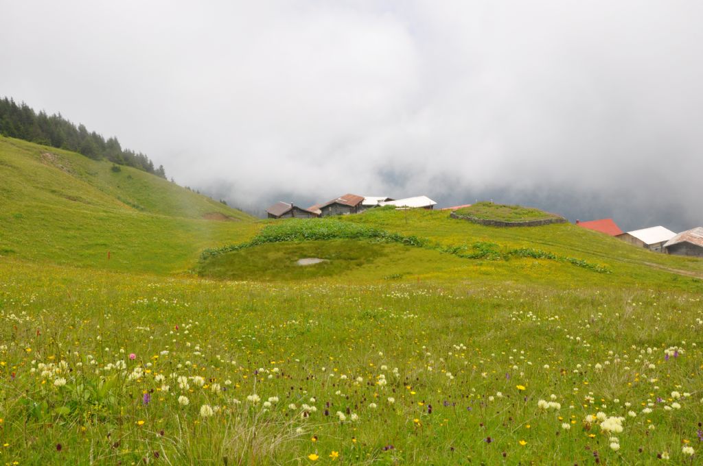 yayla evleri