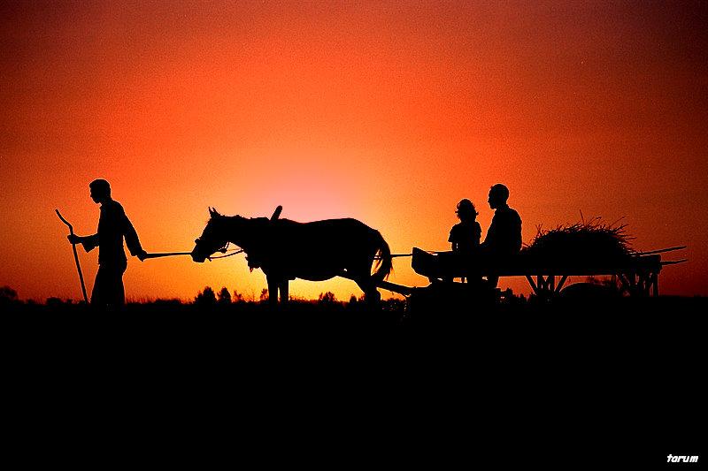 akam olur evimize gideriz...