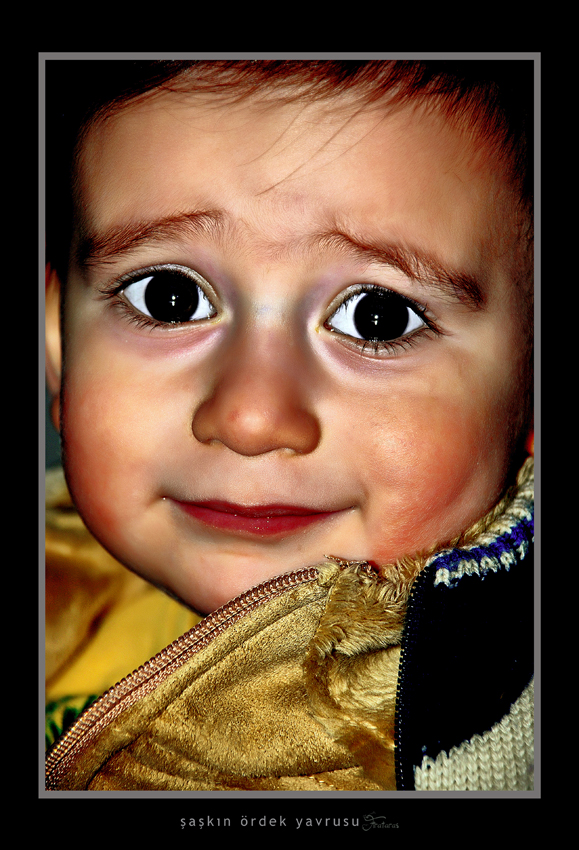 �imdi �a�k�n bak�yorum :)