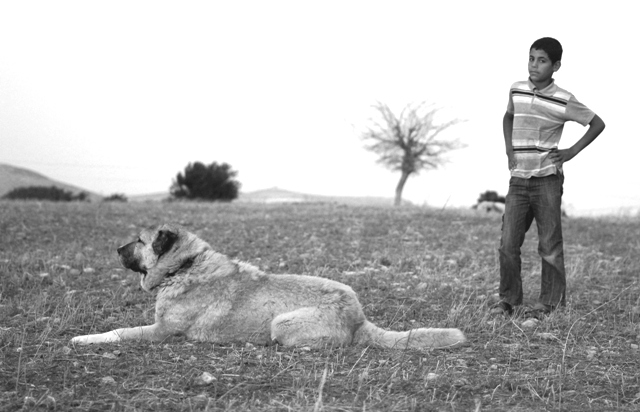 halil ve sad�k k�pe�i