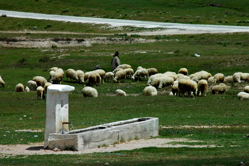 Demirli yaylas, Afyon