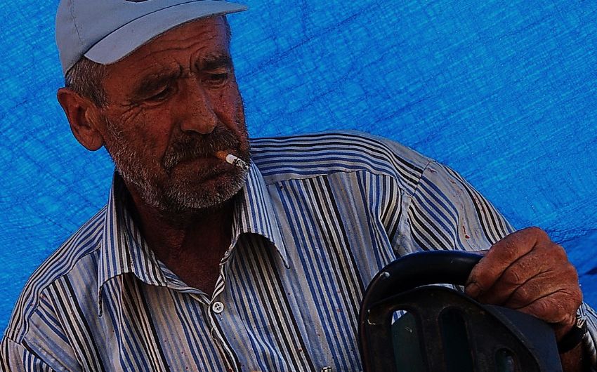 Holywood Film Platolar� De�il