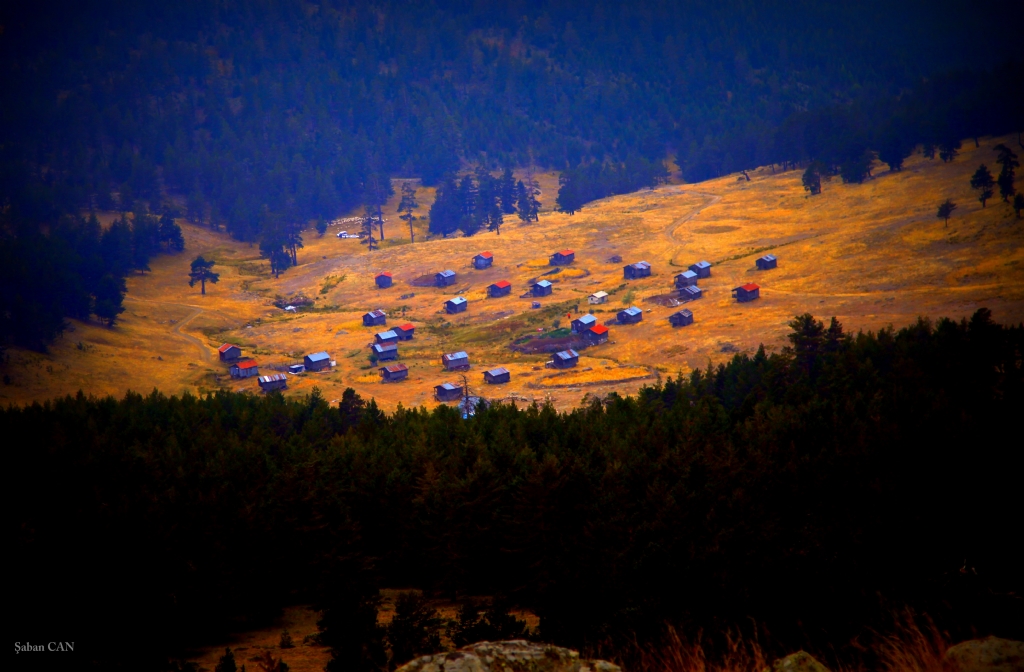 Sar Yayla