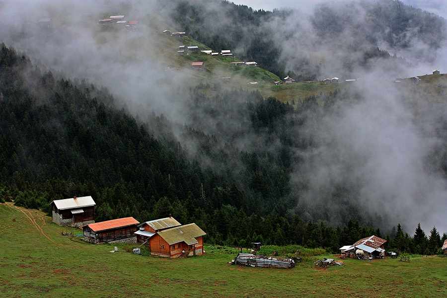 Sal'dan Pokut'a doru ve Pokut(3)