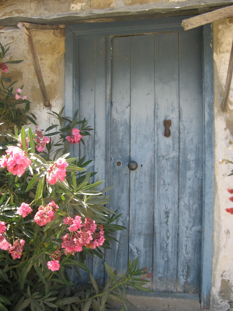 mavi kapda zakkum,,,