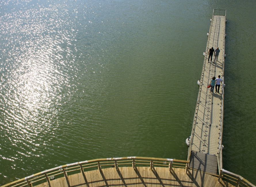 Ku� bak���_2