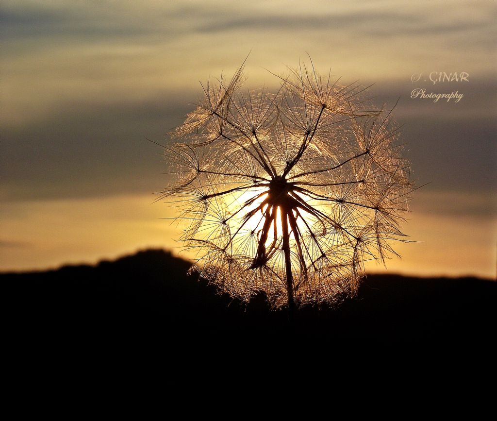 gn batmna kar seyir keyfi...