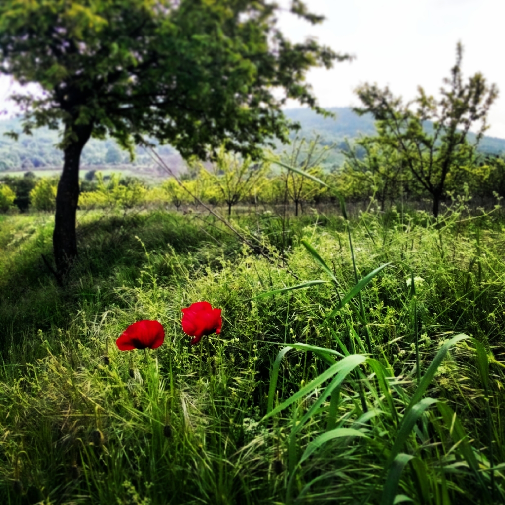 farkedilebilmek...