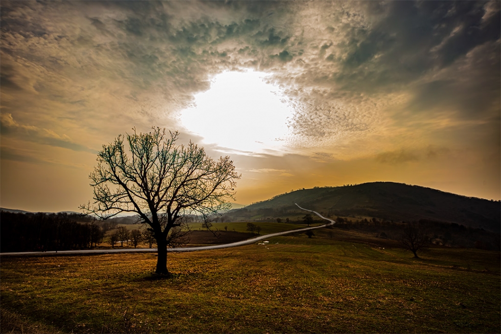  �nce beyaz bir yolda...