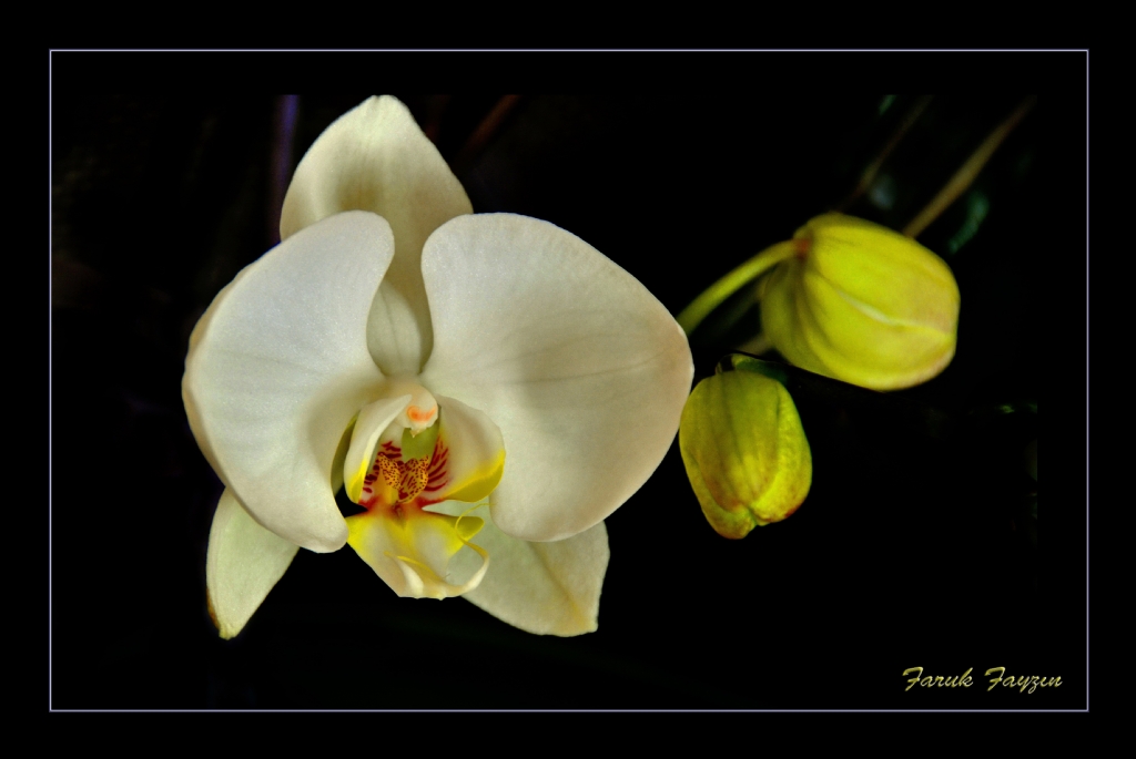 SEVG VE SELAMLARIMLA..