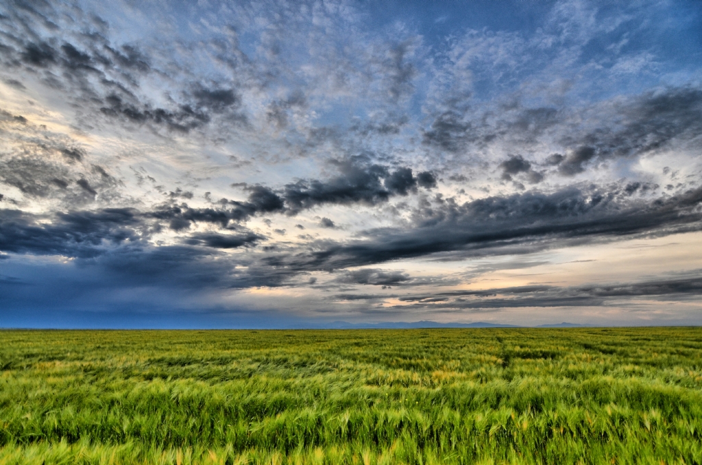 Bahar her daim g�zeldir