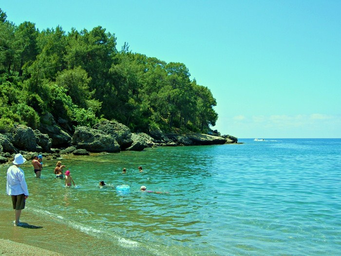 koyda yaz�n tad�