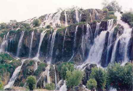 erzincan/girlevik elalesi