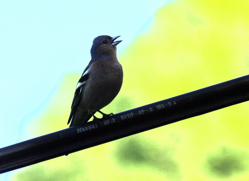 kablo sat�c�s�