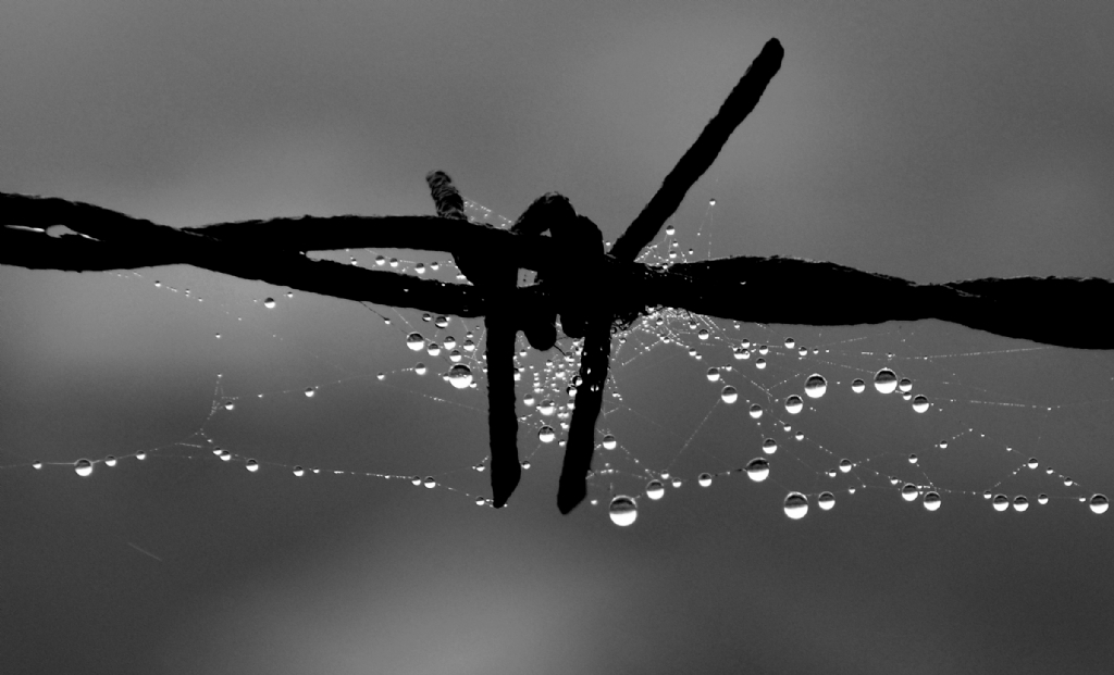 yer edinebilmek kendine.........