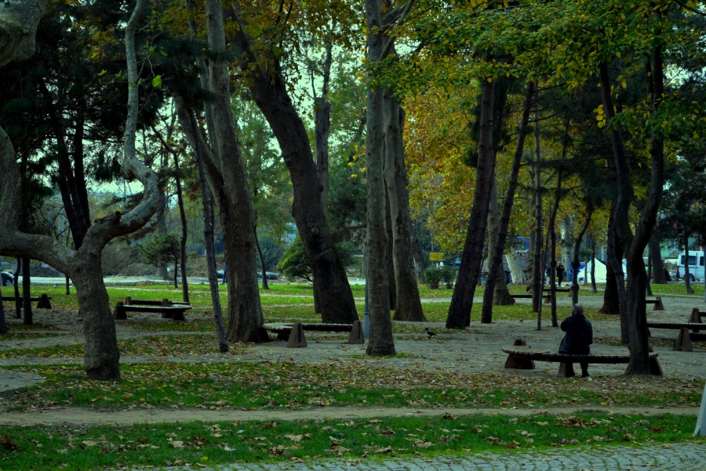 Ne 'SONBAHARLAR' geldi ge�ti...