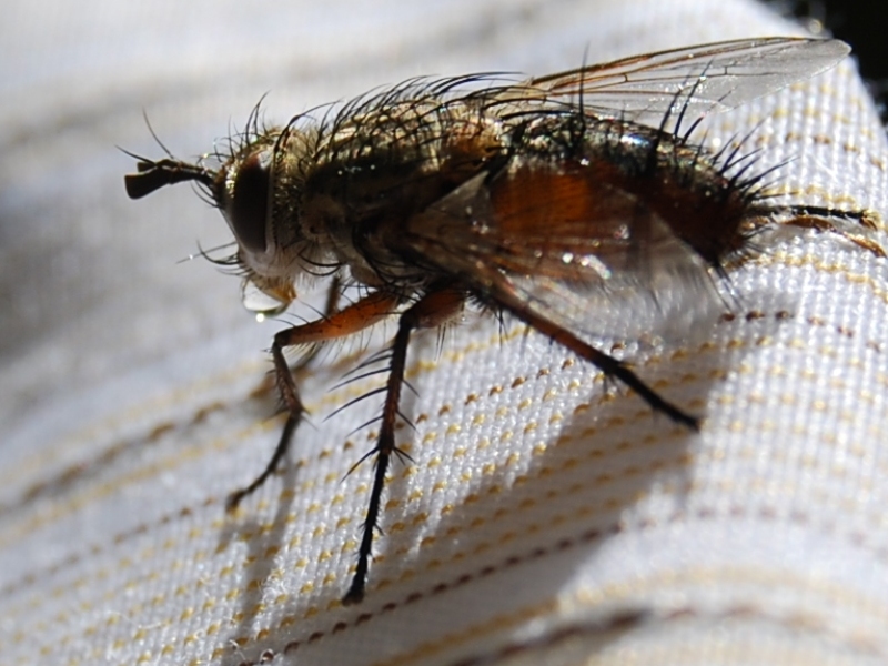 Su i�en Sine�e Kimse dokunmaz.