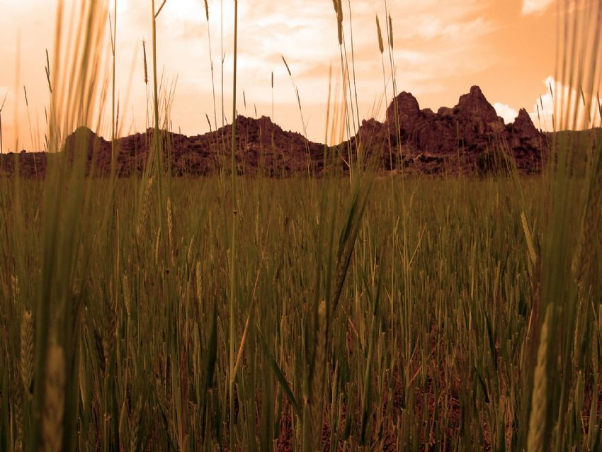 �leriyi g�rebilmek...