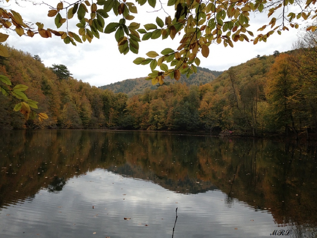 Yedigllerde sonbahar