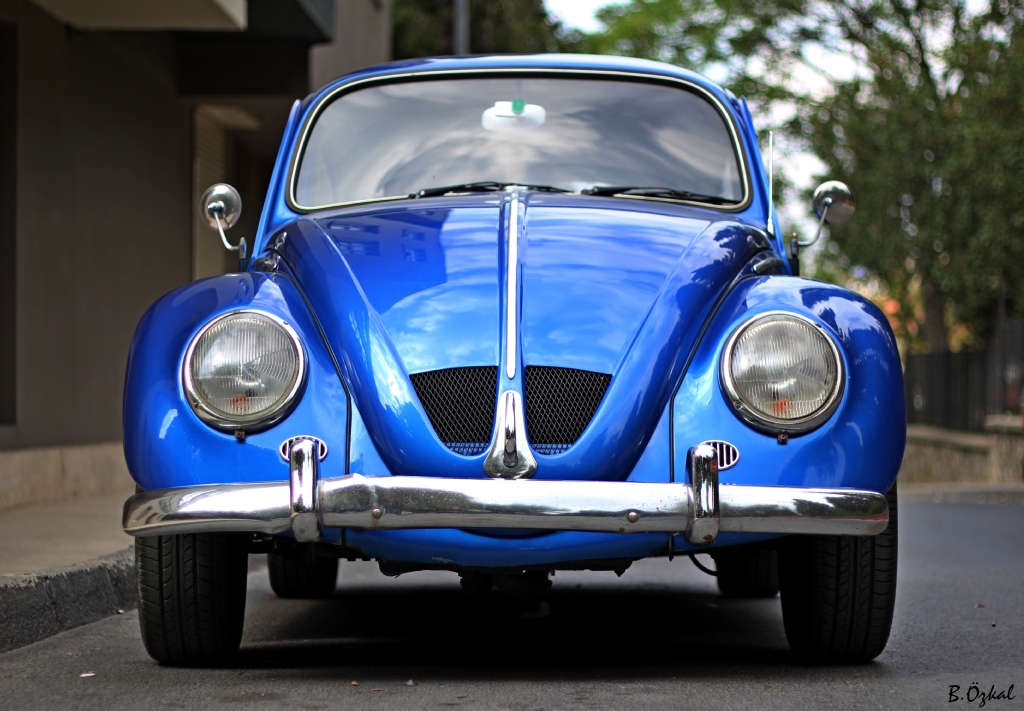 1966 beetle