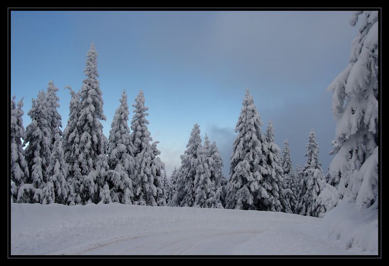 Ilgaz...