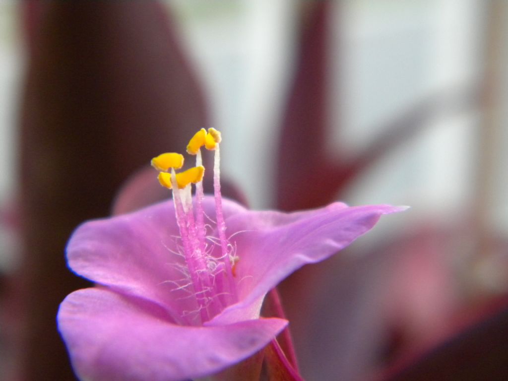 ilk makro deneyim umar�m ���k vard�r..