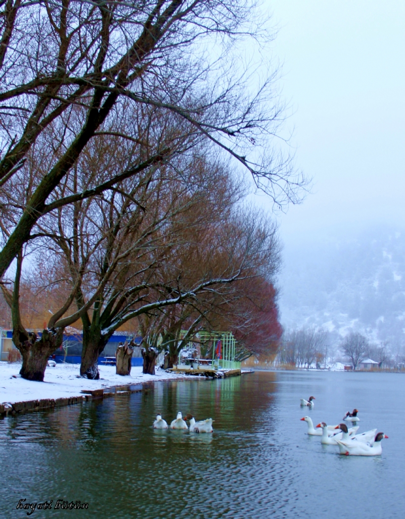 G�l�n  sad�k  sakinleri 