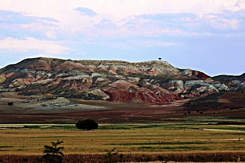 Do�ada renk c�mb���