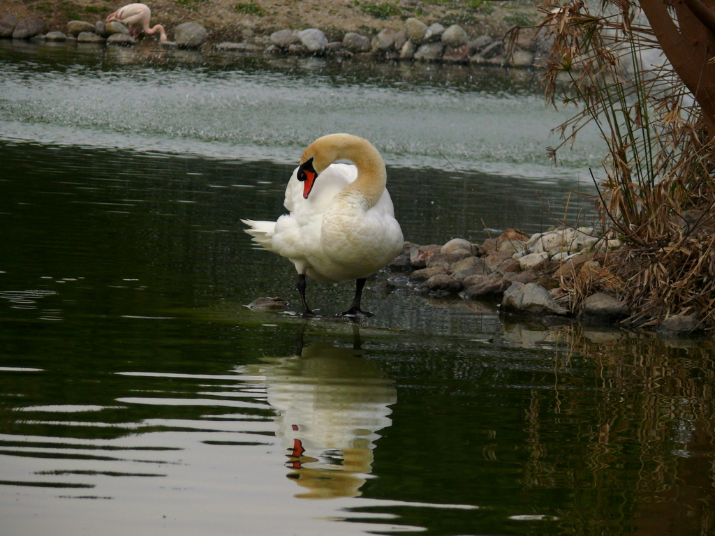 zmir Doal Yaam Park