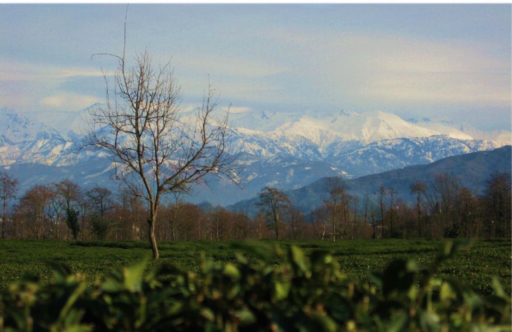 Ka�karlara bak��