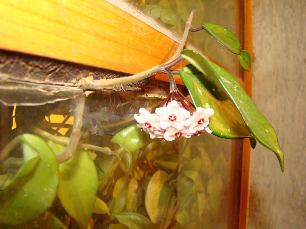 �zg�rl��e do�ru