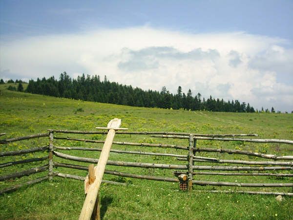 yayla