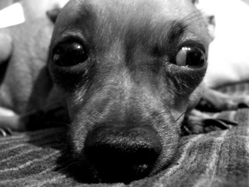 Biri Kalk Gidelim Diyor �teki...