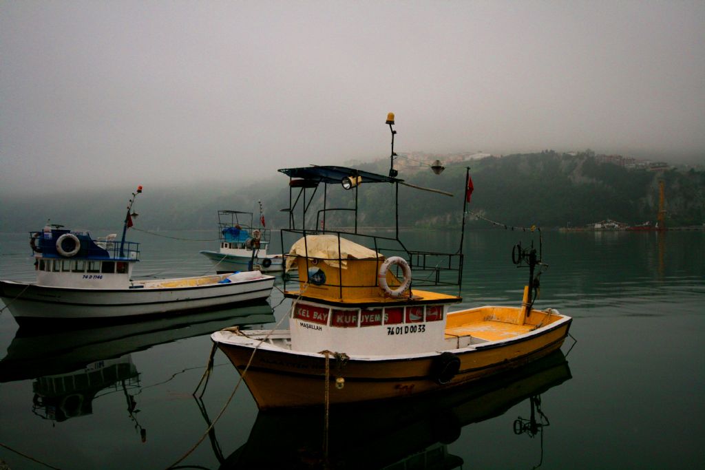 Puslu Bir Gn AMASRA