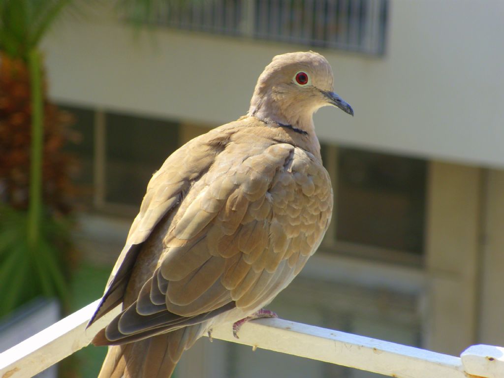 zgrle kalan son dakikalar..