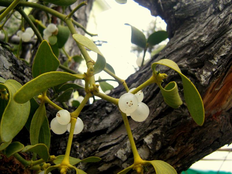 k�� �i�e�i