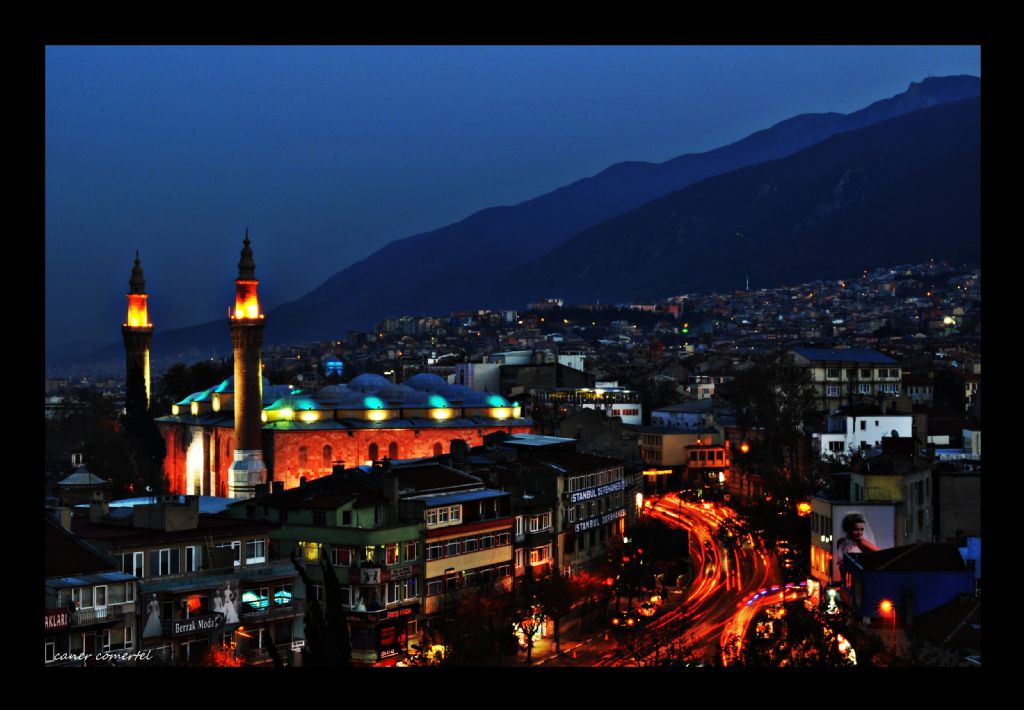 Bursa