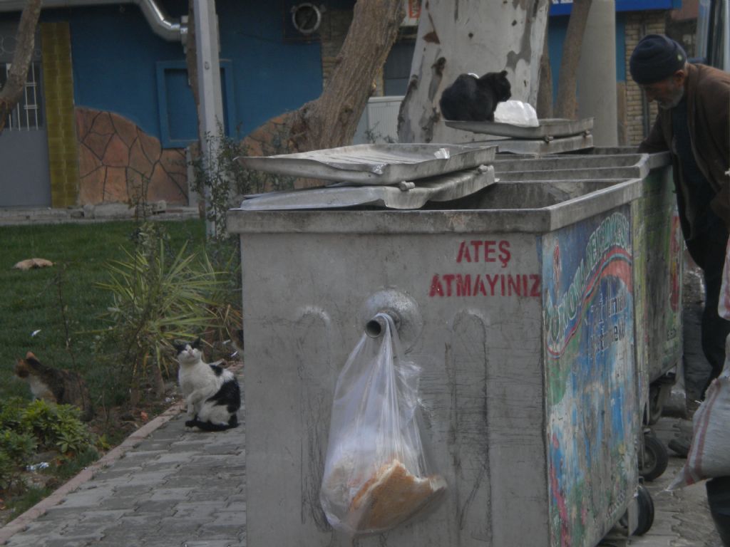 Kimine yat kimine ...