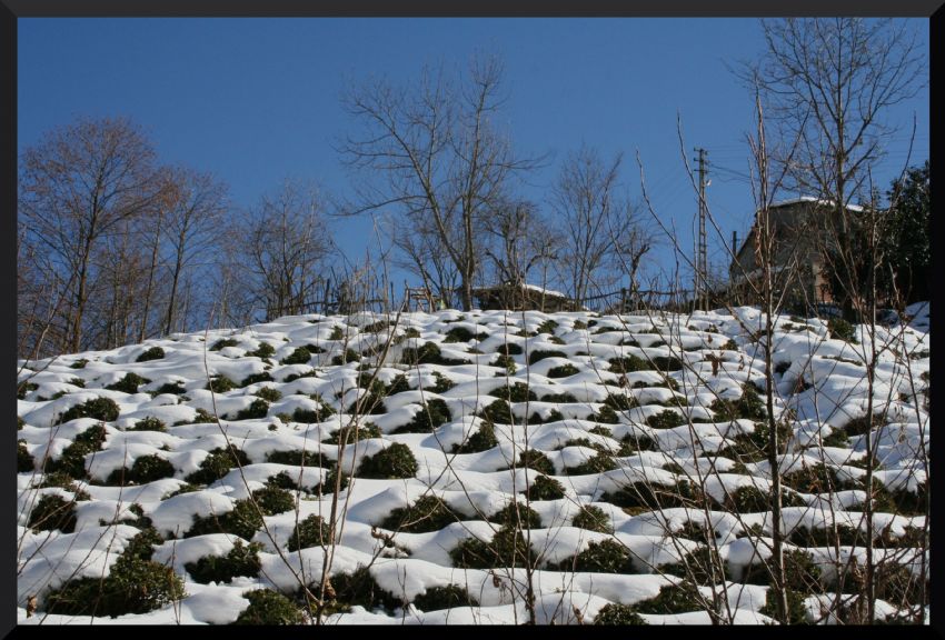 Heminden ay manzaralar