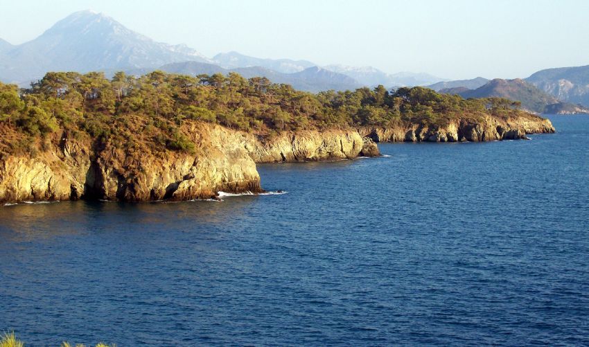 KOYLAR VE SIRA DALAR..........